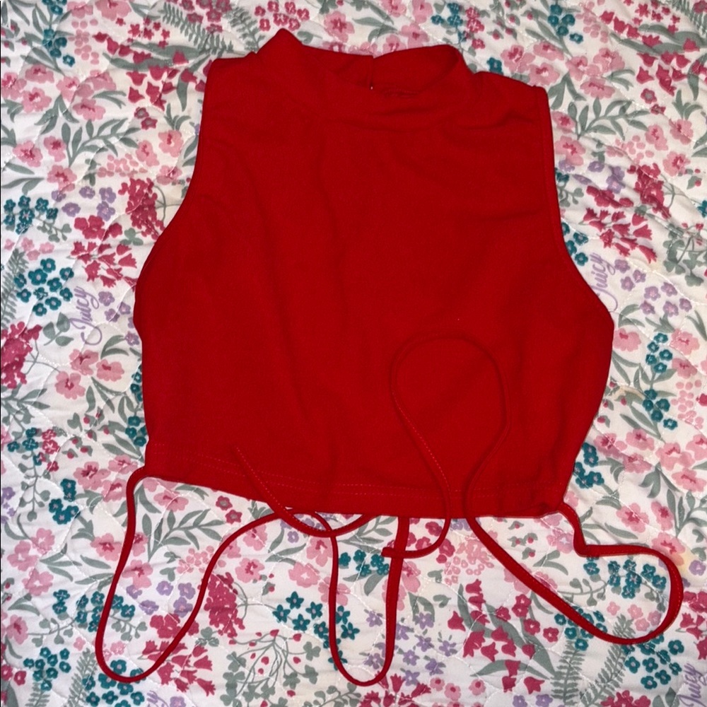 Red Sleeveless Crop Top